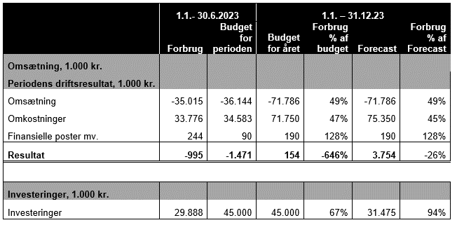 Tabel med oversigt over budget og resultat for perioden 1.januar 2023 til 30. juni 2023